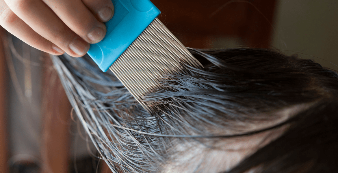 Comb being brushed through hair