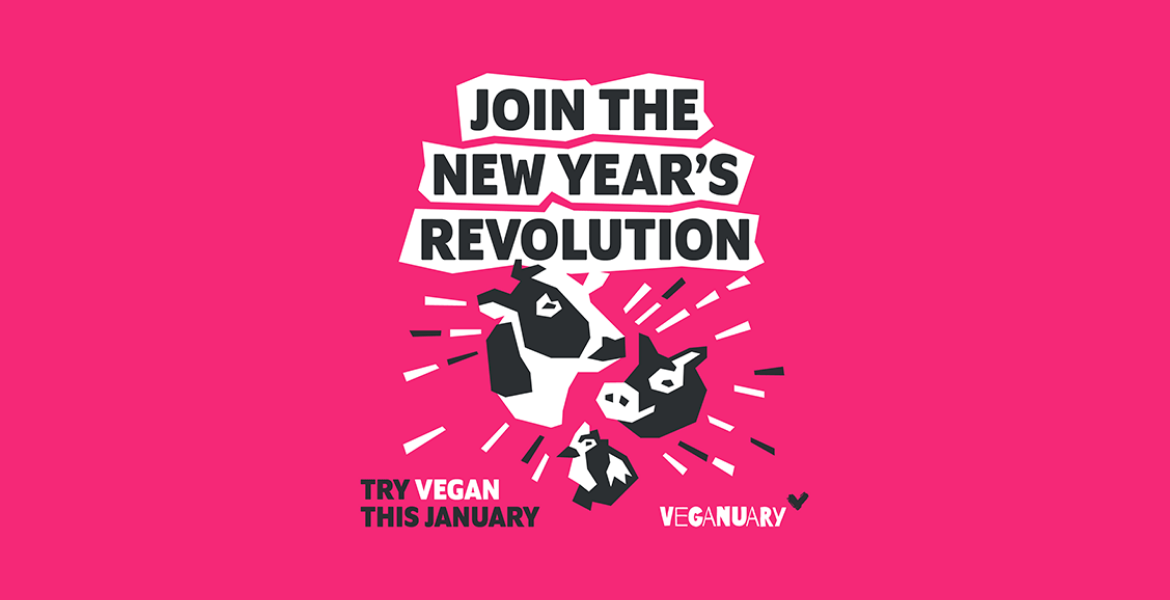 Text: "Join the New Year's Revolution" on pink background with vector images of a cow, pig and chicken