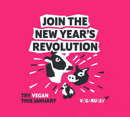 Text: "Join the New Year's Revolution" on pink background with vector images of a cow, pig and chicken
