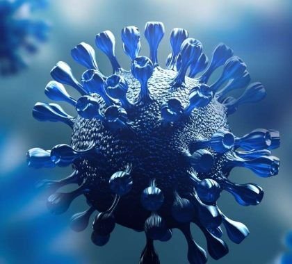 3D model of the Omicron virus